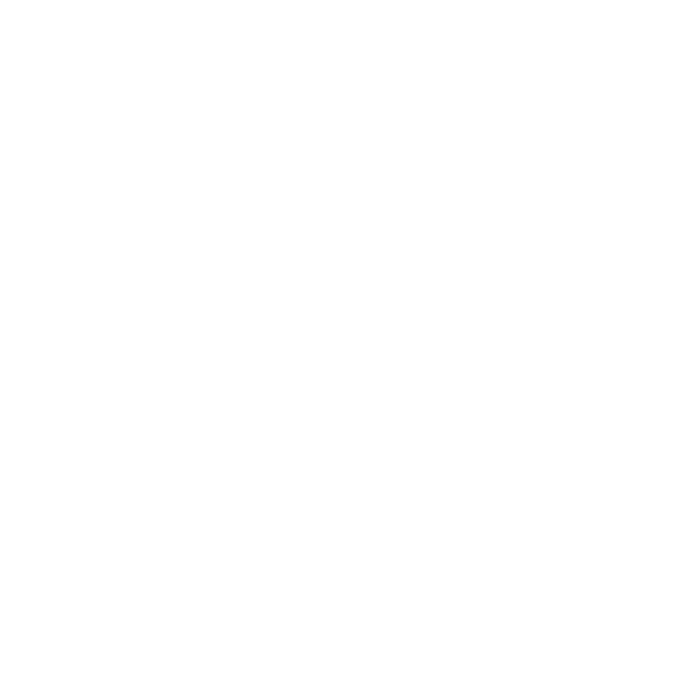 Icono de seguro