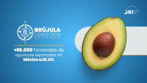 Exportación aguacate México
