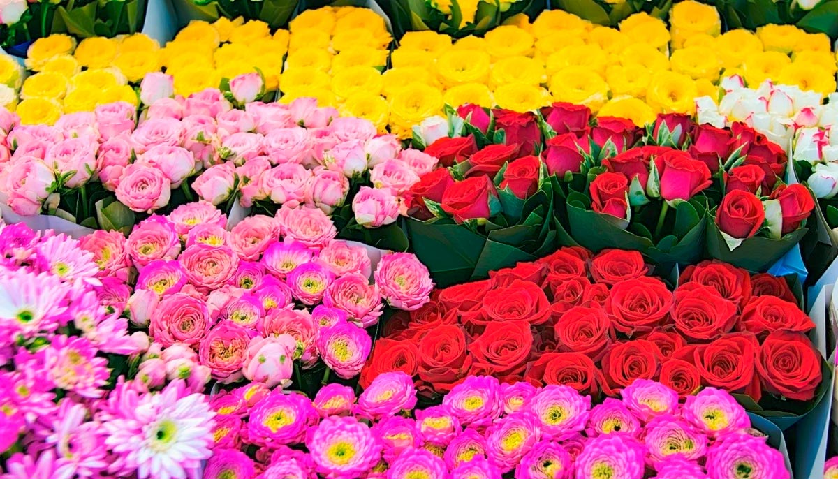 Colombian flowers exports